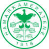 HamKam logo