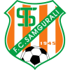 Samgurali logo