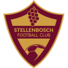 Stellenbosch logo